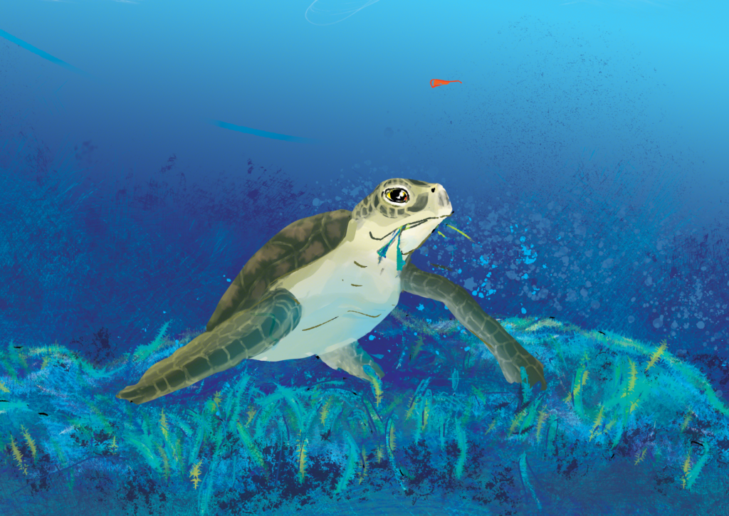 Image of a sea turtle eating seagrass from Mighty Mahi written by Suzanne Jacobs Lipshaw and illustrated by Dorothy Shaw.