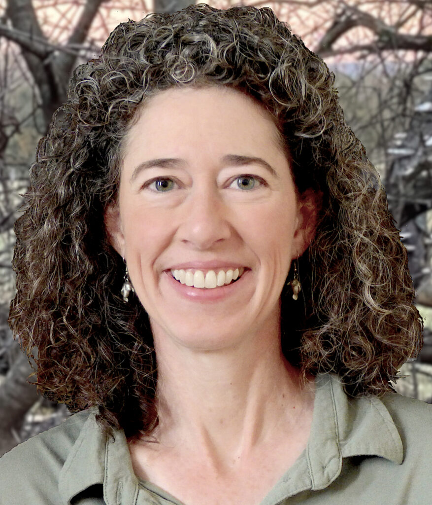 Image of Author Laura K. Zimmerman